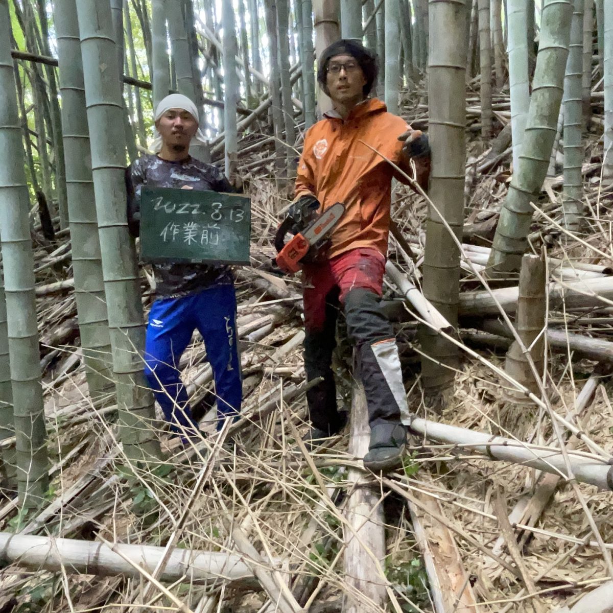 手入れをしている竹林